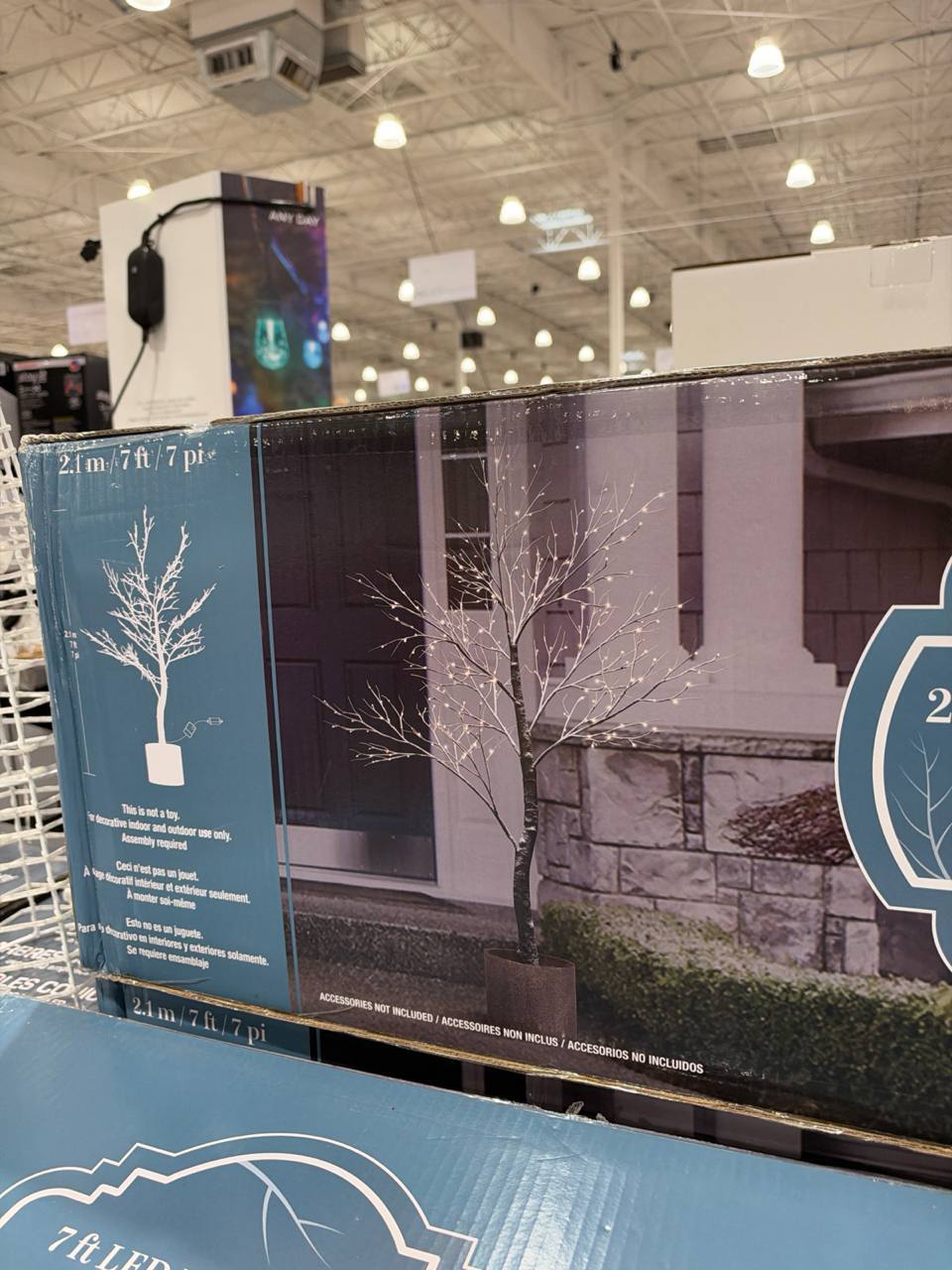 Costco- Decoração de natal