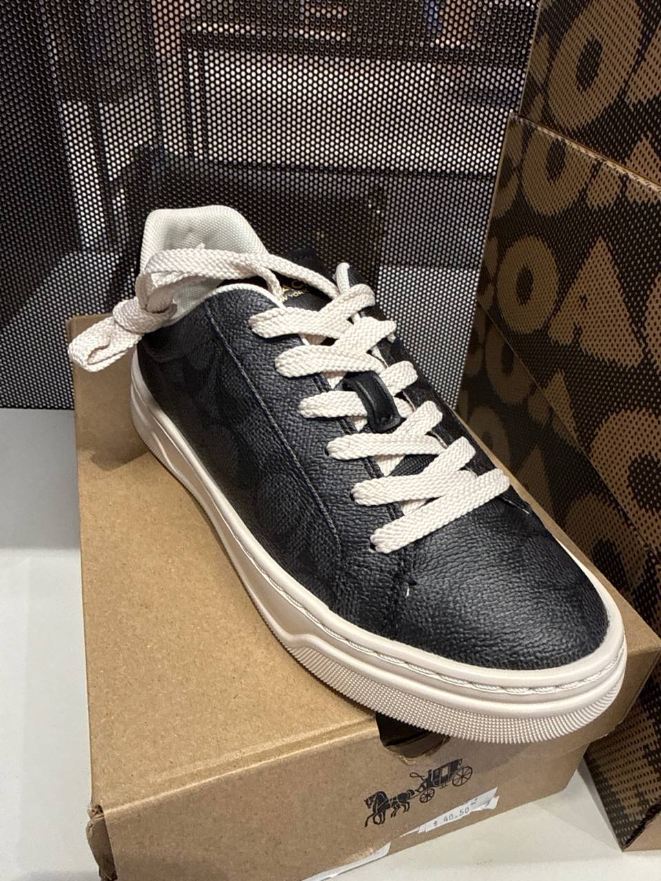 Coach - Tenis