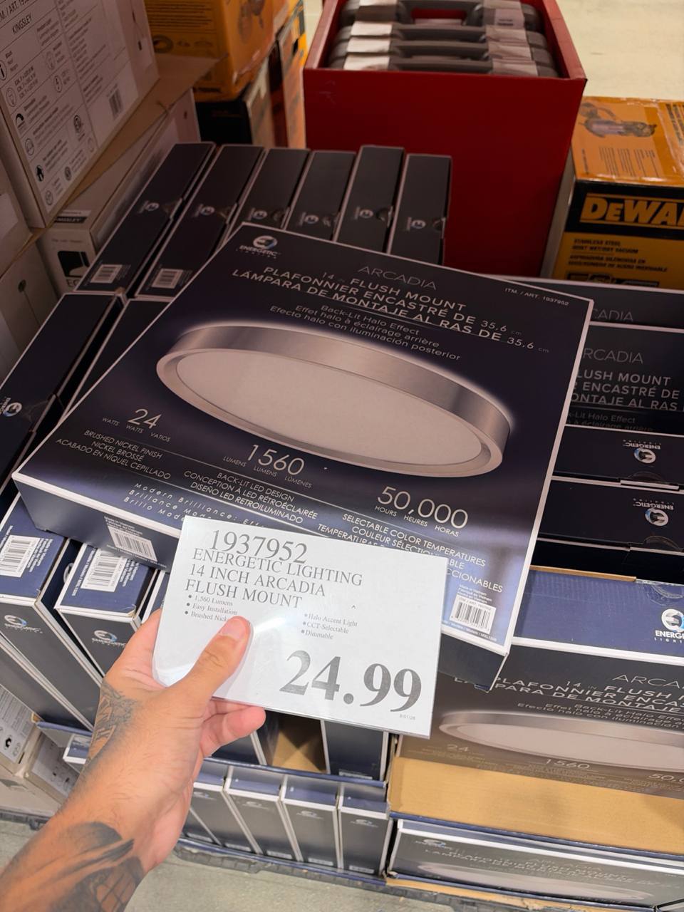 Costco- Energetic Lighting 14 Inch Arcadia Flush Mount