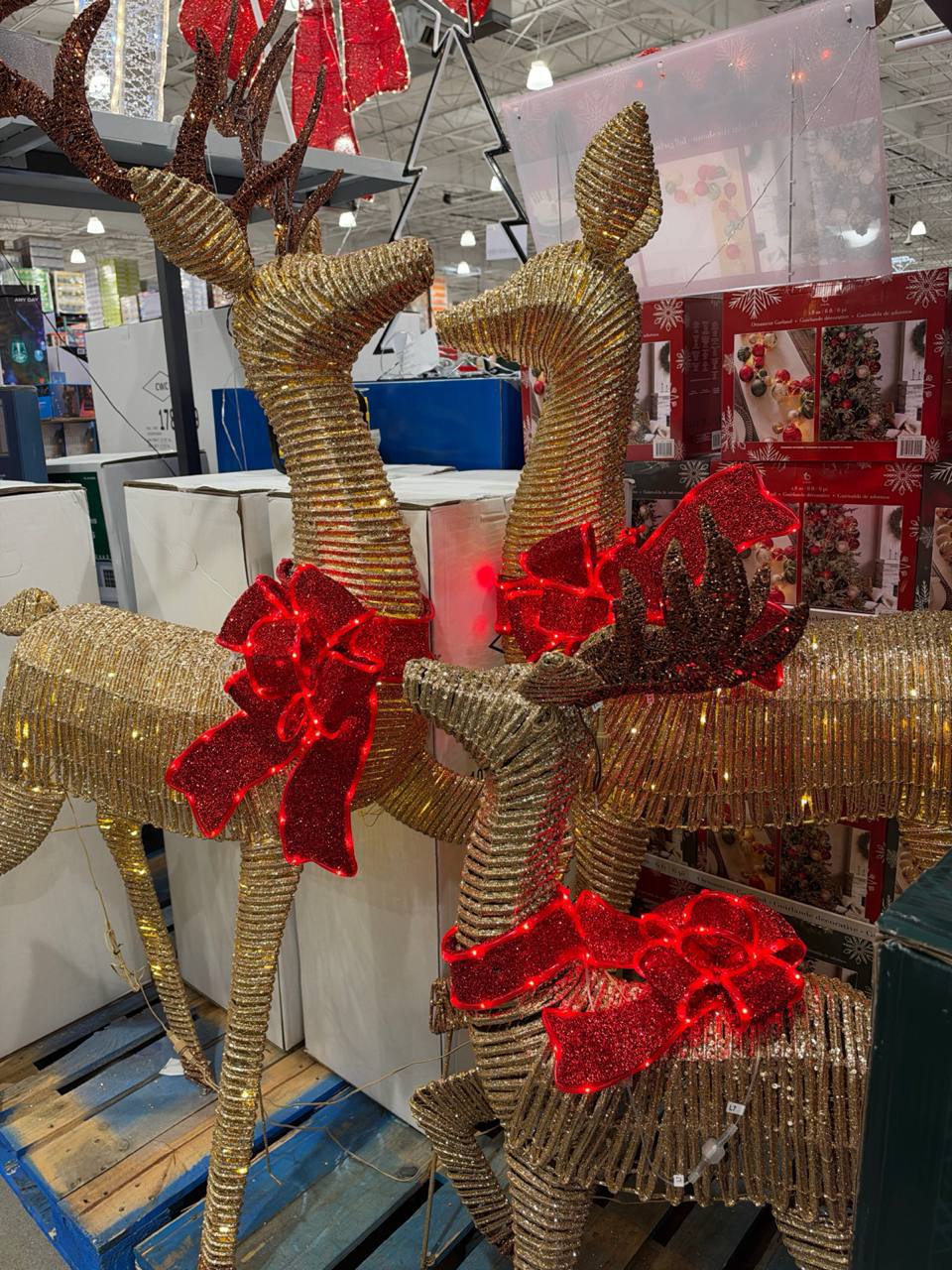 Costco- Decoração de natal