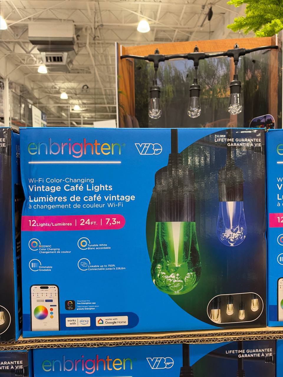 Costco- Vintage Café Lights