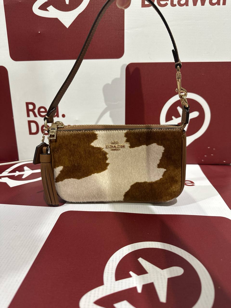 Coach cow (A1)